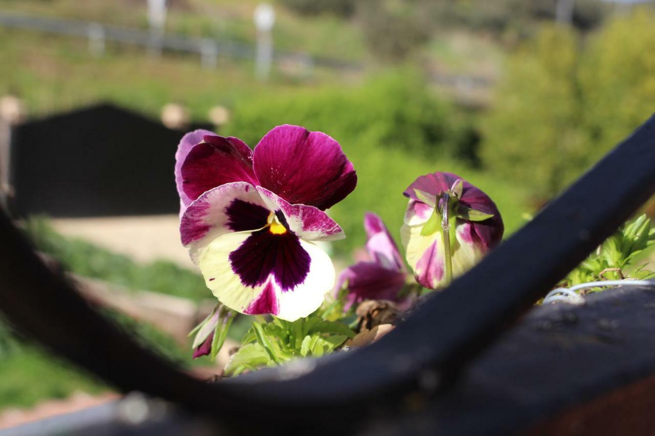 El Balcon Del Hueznar Cazalla de la Sierra
