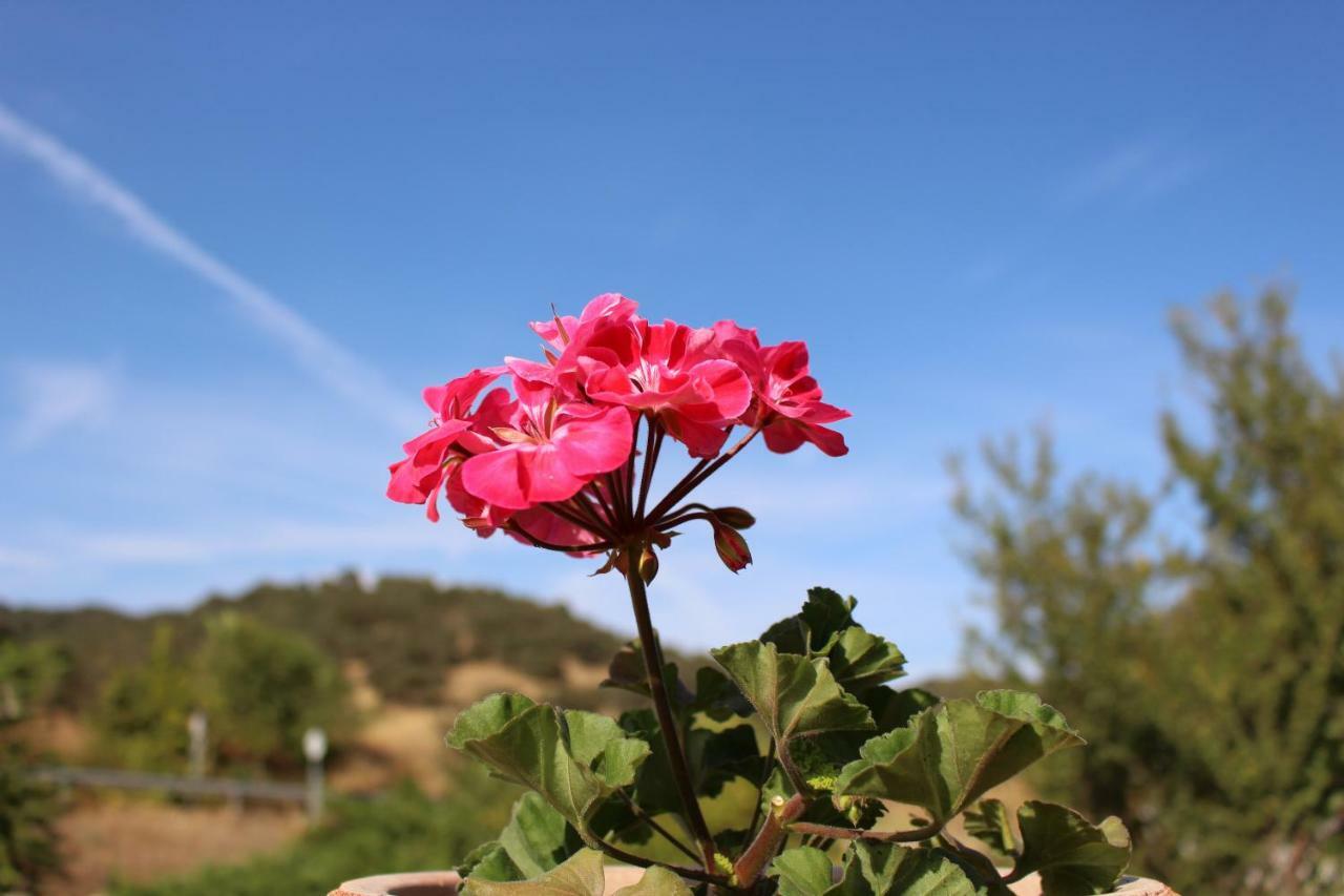 El Balcon Del Hueznar Cazalla de la Sierra